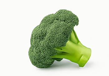 Organic Broccoli